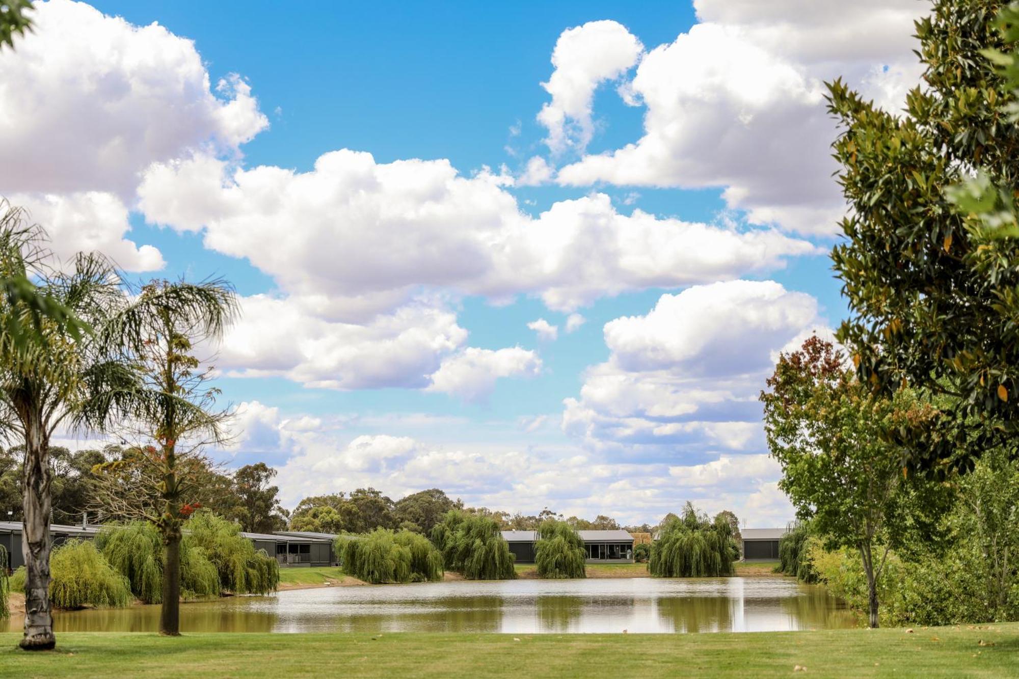 Discovery Parks - Moama Waters Buitenkant foto